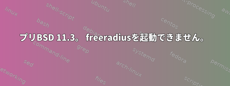 プリBSD 11.3。 freeradiusを起動できません。