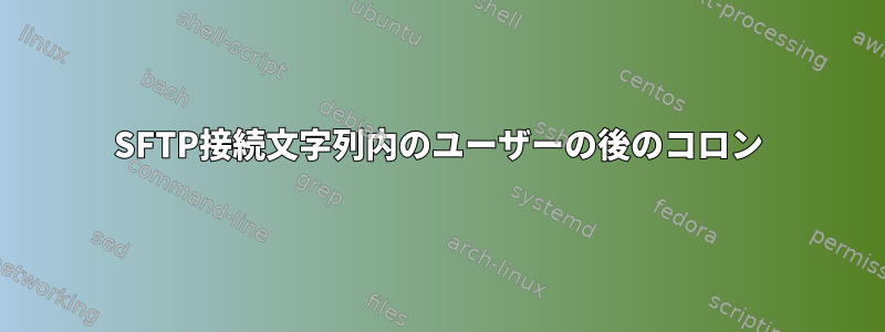 SFTP接続文字列内のユーザーの後のコロン