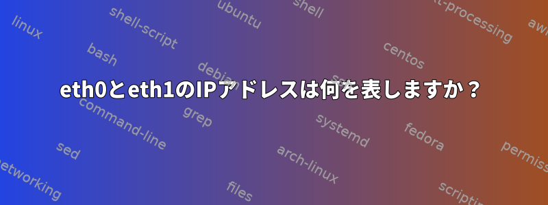 eth0とeth1のIPアドレスは何を表しますか？