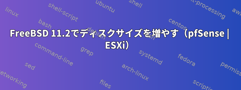 FreeBSD 11.2でディスクサイズを増やす（pfSense | ESXi）