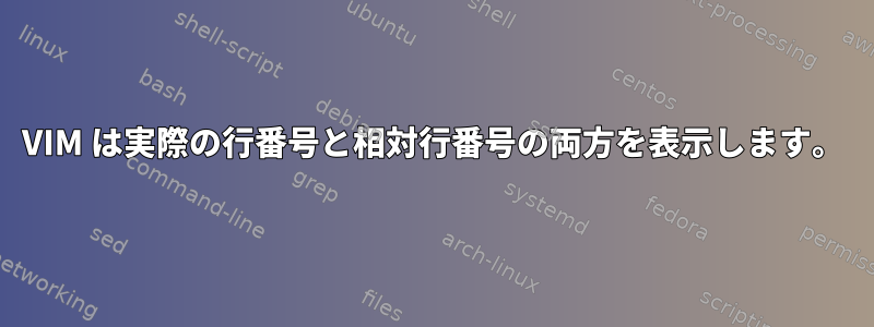 VIM は実際の行番号と相対行番号の両方を表示します。