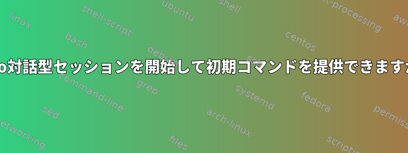 sudo対話型セッションを開始して初期コマンドを提供できますか？