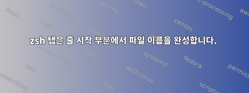 zsh 탭은 줄 시작 부분에서 파일 이름을 완성합니다.