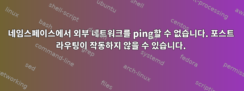 네임스페이스에서 외부 네트워크를 ping할 수 없습니다. 포스트 라우팅이 작동하지 않을 수 있습니다.