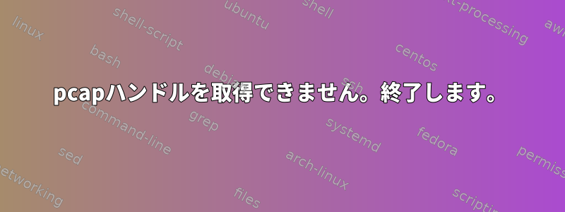 pcapハンドルを取得できません。終了します。