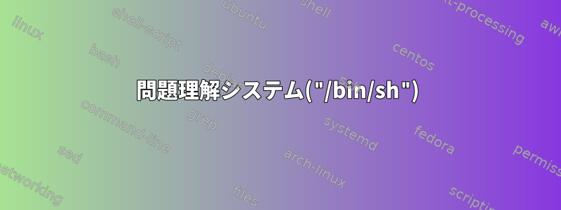 問題理解システム("/bin/sh")