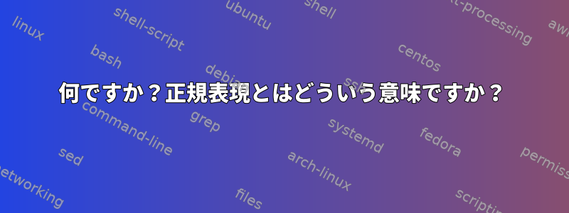 何ですか？正規表現とはどういう意味ですか？