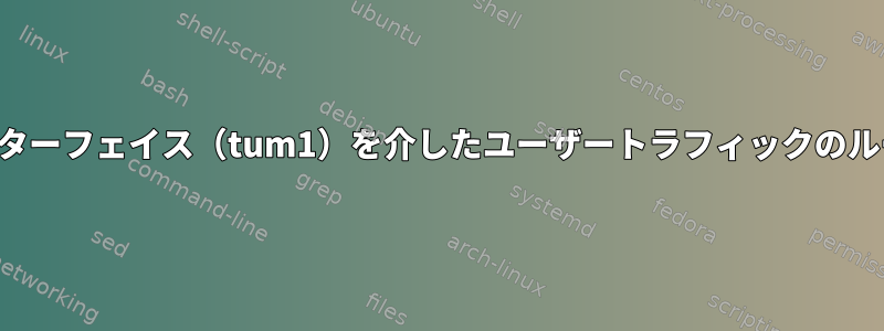 特定のインターフェイス（tum1）を介したユーザートラフィックのルーティング