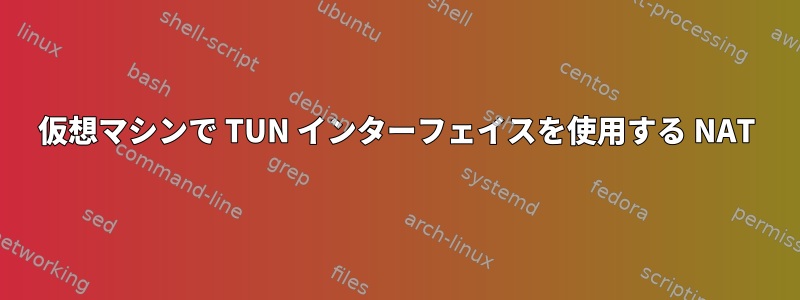 仮想マシンで TUN インターフェイスを使用する NAT