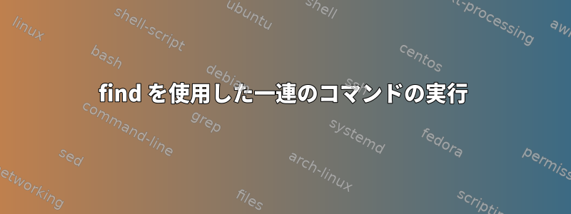 find を使用した一連のコマンドの実行