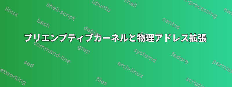 プリエンプティブカーネルと物理アドレス拡張