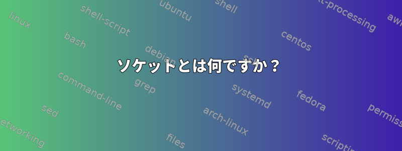 ソケットとは何ですか？