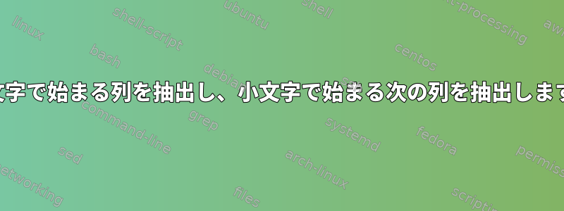 大文字で始まる列を抽出し、小文字で始まる次の列を抽出します。