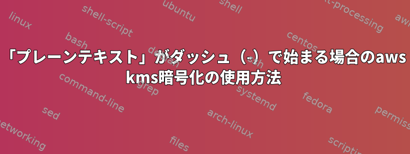 「プレーンテキスト」がダッシュ（-）で始まる場合のaws kms暗号化の使用方法