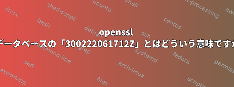 openssl CAデータベースの「300222061712Z」とはどういう意味ですか？