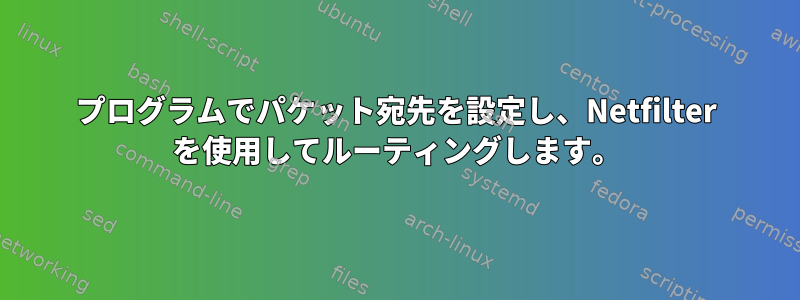 プログラムでパケット宛先を設定し、Netfilter を使用してルーティングします。