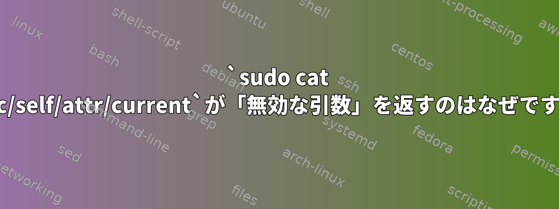 `sudo cat /proc/self/attr/current`が「無効な引数」を返すのはなぜですか？