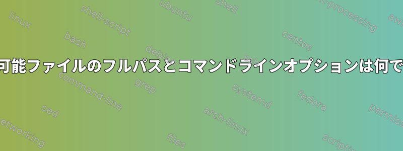 実行可能ファイルのフルパスとコマンドラインオプションは何ですか