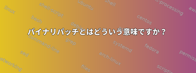 バイナリパッチとはどういう意味ですか？