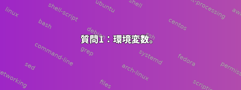 質問1：環境変数。