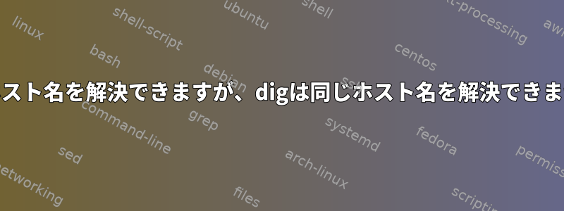 pingはホスト名を解決できますが、digは同じホスト名を解決できませんか？