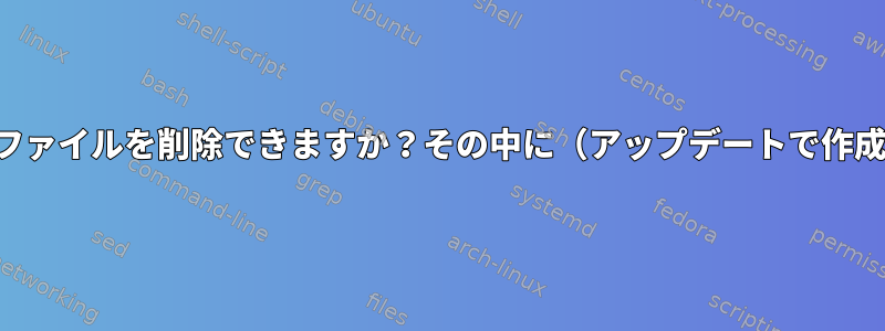 セミコロンのあるファイルを削除できますか？その中に（アップデートで作成されましたか？）