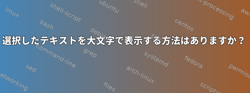 選択したテキストを大文字で表示する方法はありますか？