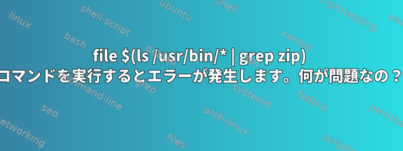 file $(ls /usr/bin/* | grep zip) コマンドを実行するとエラーが発生します。何が問題なの？