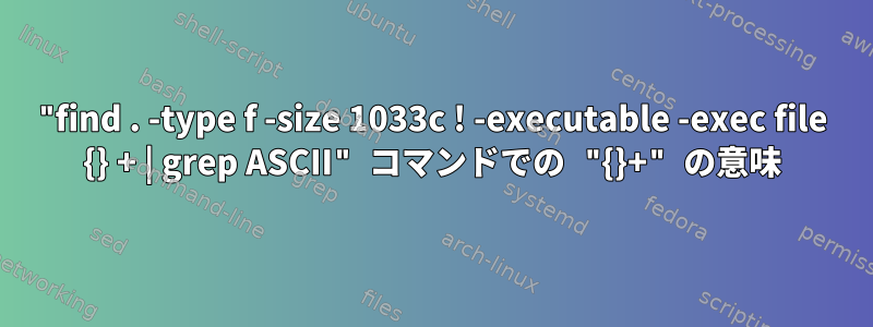 "find . -type f -size 1033c ! -executable -exec file {} + | grep ASCII" コマンドでの "{}+" の意味