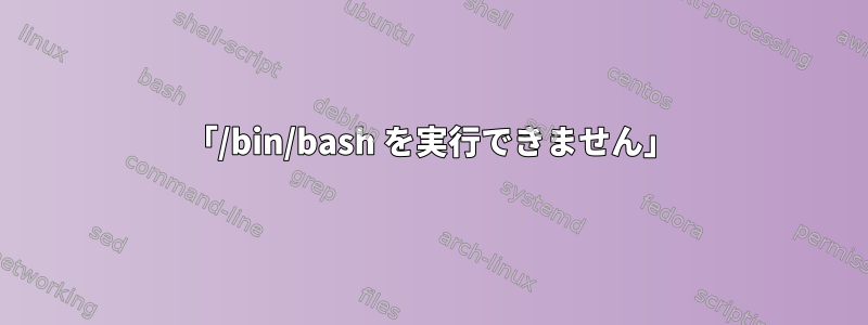 「/bin/bash を実行できません」