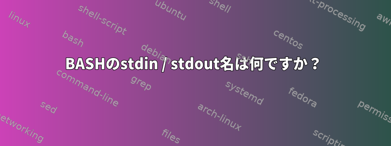 BASHのstdin / stdout名は何ですか？