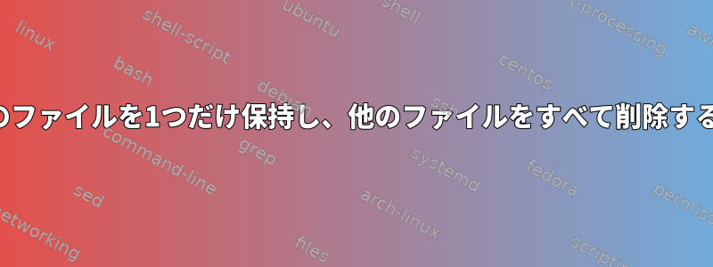 最大のファイルを1つだけ保持し、他のファイルをすべて削除する方法