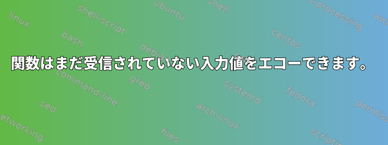 関数はまだ受信されていない入力値をエコーできます。