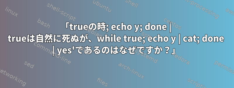 「trueの時; echo y; done | trueは自然に死ぬが、while true; echo y | cat; done | yes'であるのはなぜですか？」