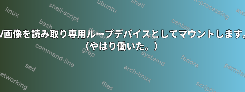 PV画像を読み取り専用ループデバイスとしてマウントします。 （やはり働いた。）