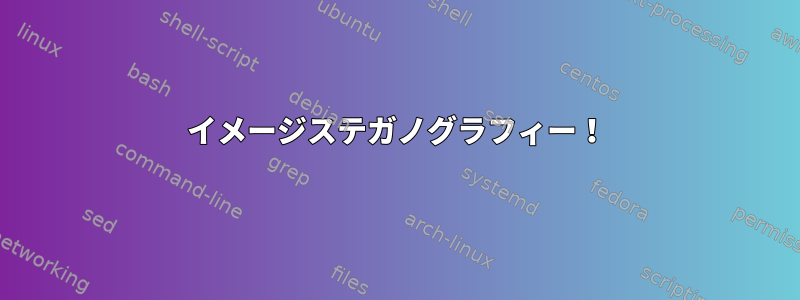 イメージステガノグラフィー！