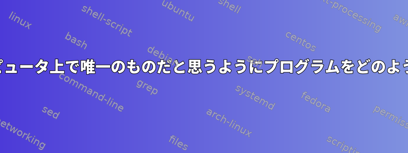 プログラムがコンピュータ上で唯一のものだと思うようにプログラムをどのように実行しますか？