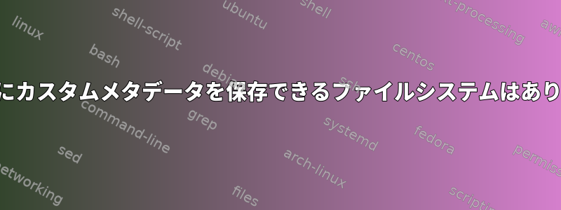 ファイルにカスタムメタデータを保存できるファイルシステムはありますか？