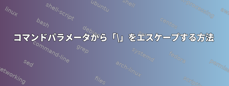 コマンドパラメータから「\」をエスケープする方法