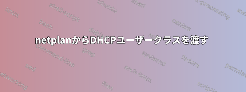 netplanからDHCPユーザークラスを渡す