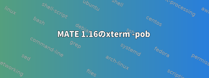 MATE 1.16のxterm -pob