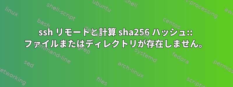 ssh リモートと計算 sha256 ハッシュ:: ファイルまたはディレクトリが存在しません。