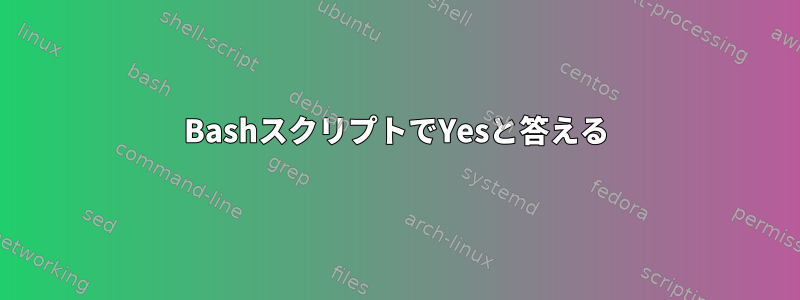 BashスクリプトでYesと答える