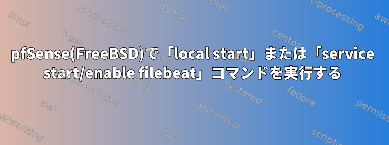 pfSense(FreeBSD)で「local start」または「service start/enable filebeat」コマンドを実行する