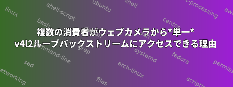 複数の消費者がウェブカメラから*単一* v4l2ループバックストリームにアクセスできる理由