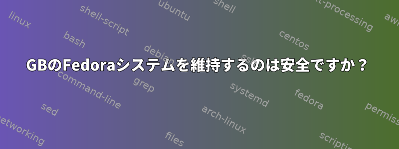 4GBのFedoraシステムを維持するのは安全ですか？