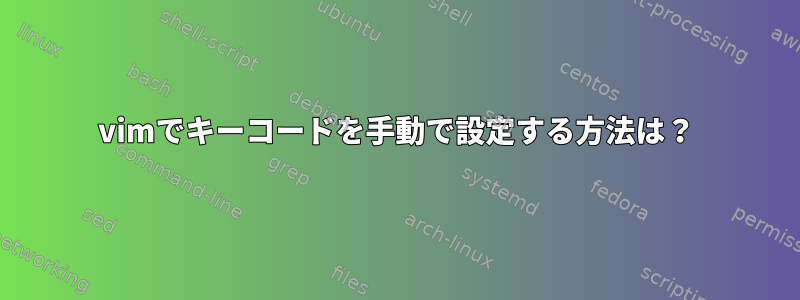 vimでキーコードを手動で設定する方法は？