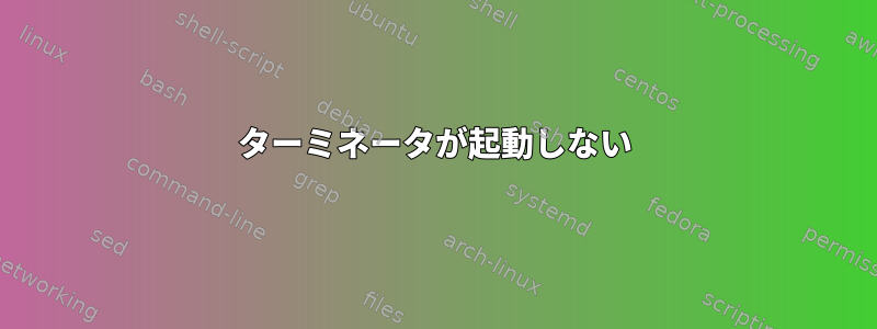 ターミネータが起動しない