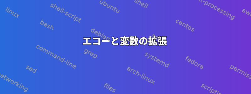 エコーと変数の拡張