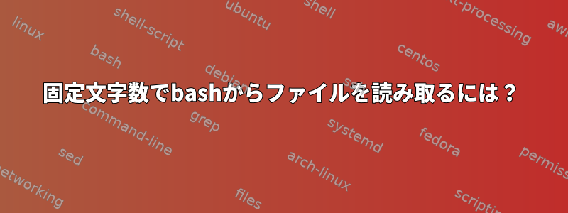 固定文字数でbashからファイルを読み取るには？